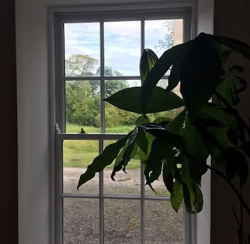 The Courtyard At Apartment *